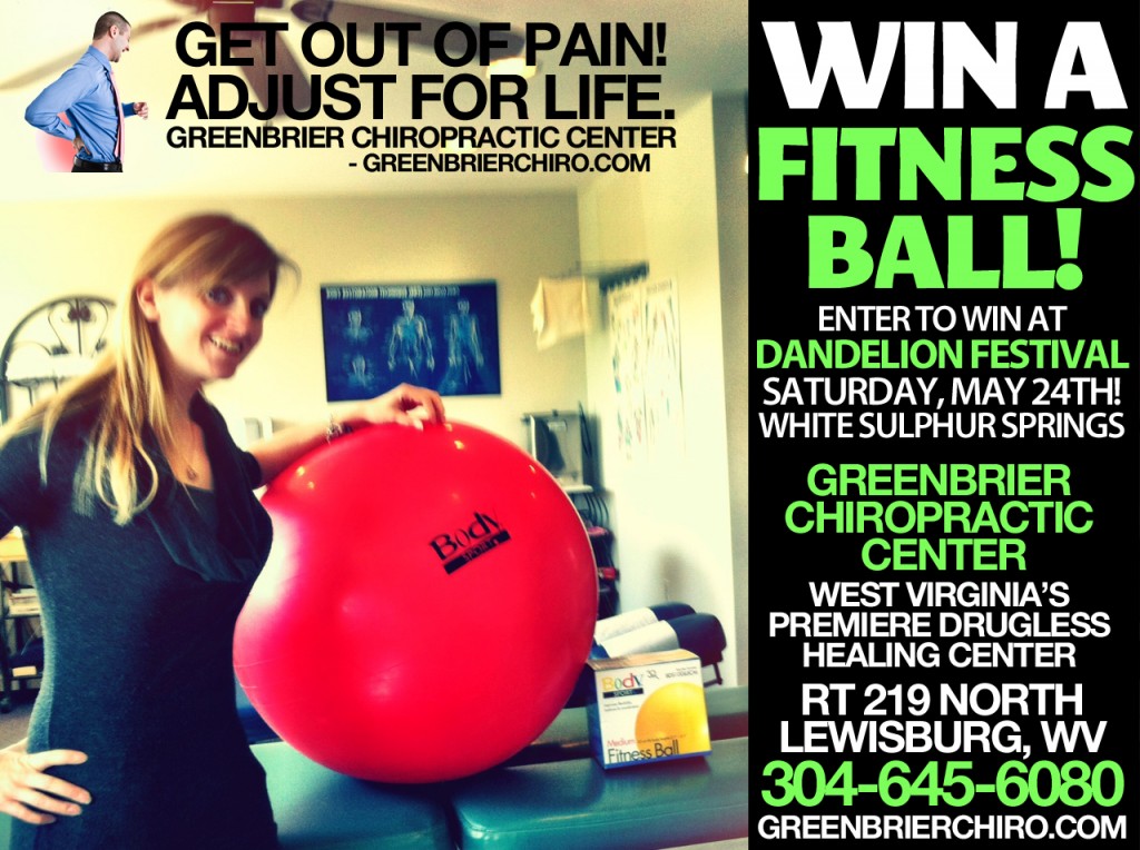 chiro fitness ball